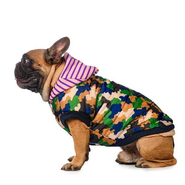 Куртка с капюшоном для собак XS зеленый (унисекс)