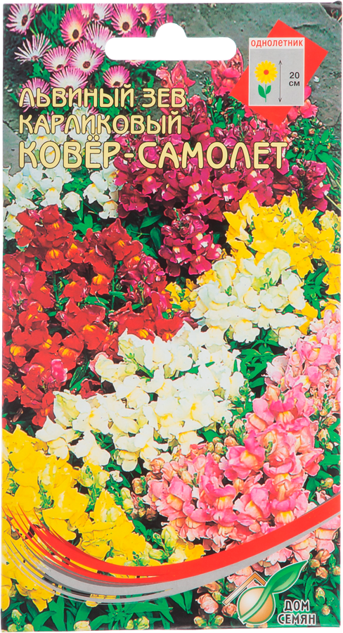 

Семена Дом Семян Львиный зев ковер-самолет