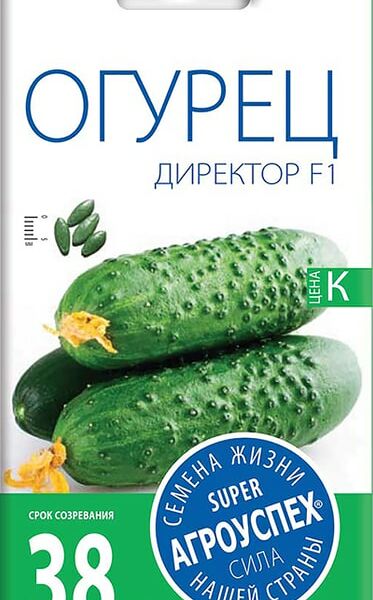 Семена Агроуспех Огурец Директор F1 7шт