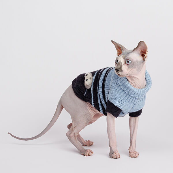 Свитер полосатый для кошек и собак, 35 см, голубой