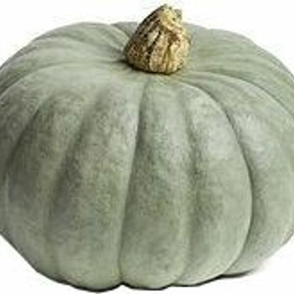 Тыква в ассортименте