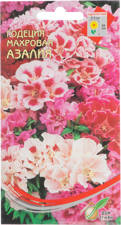 

Семена Годеция Азалия, 3г