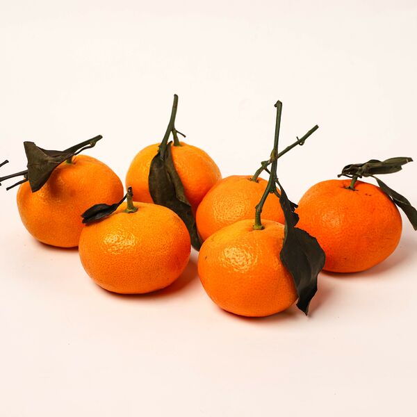 Мандарины на ветке