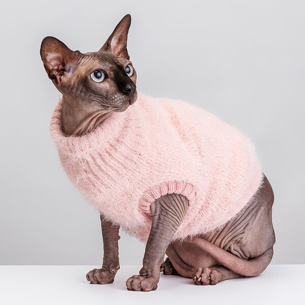 Свитер для кошек и собак, L, розовый