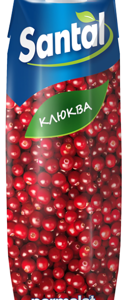 Напиток сокосодержащий Santal Клюква