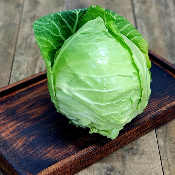 Капуста молодая