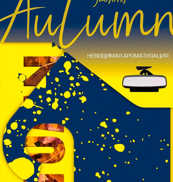 Освежитель подвесной картонный Ion Seasons