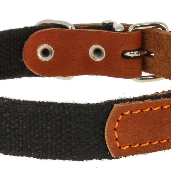 Каскад ошейник брезентовый с кожей 31-39 см.