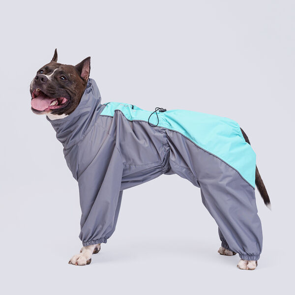 Rungo Дождевик Стаффорд Терьер мальчик аквамарин