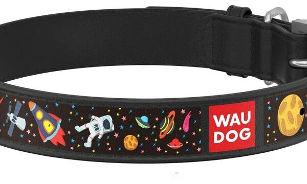 Ошейник Collar WAUDOG NASA кожа с QR паспортом черный для собак 38-49 см