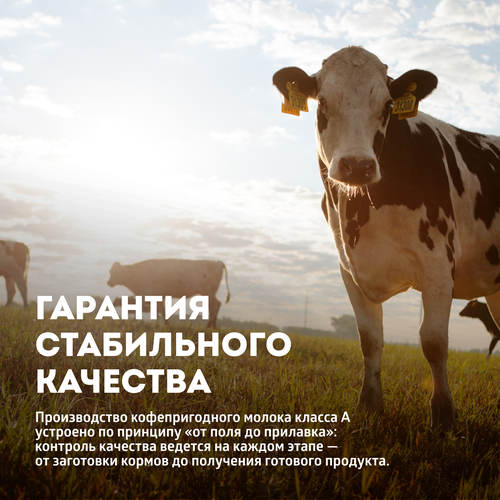 

Сливки ультрапастеризованные ЭкоНива Professional Line 10% 1 л