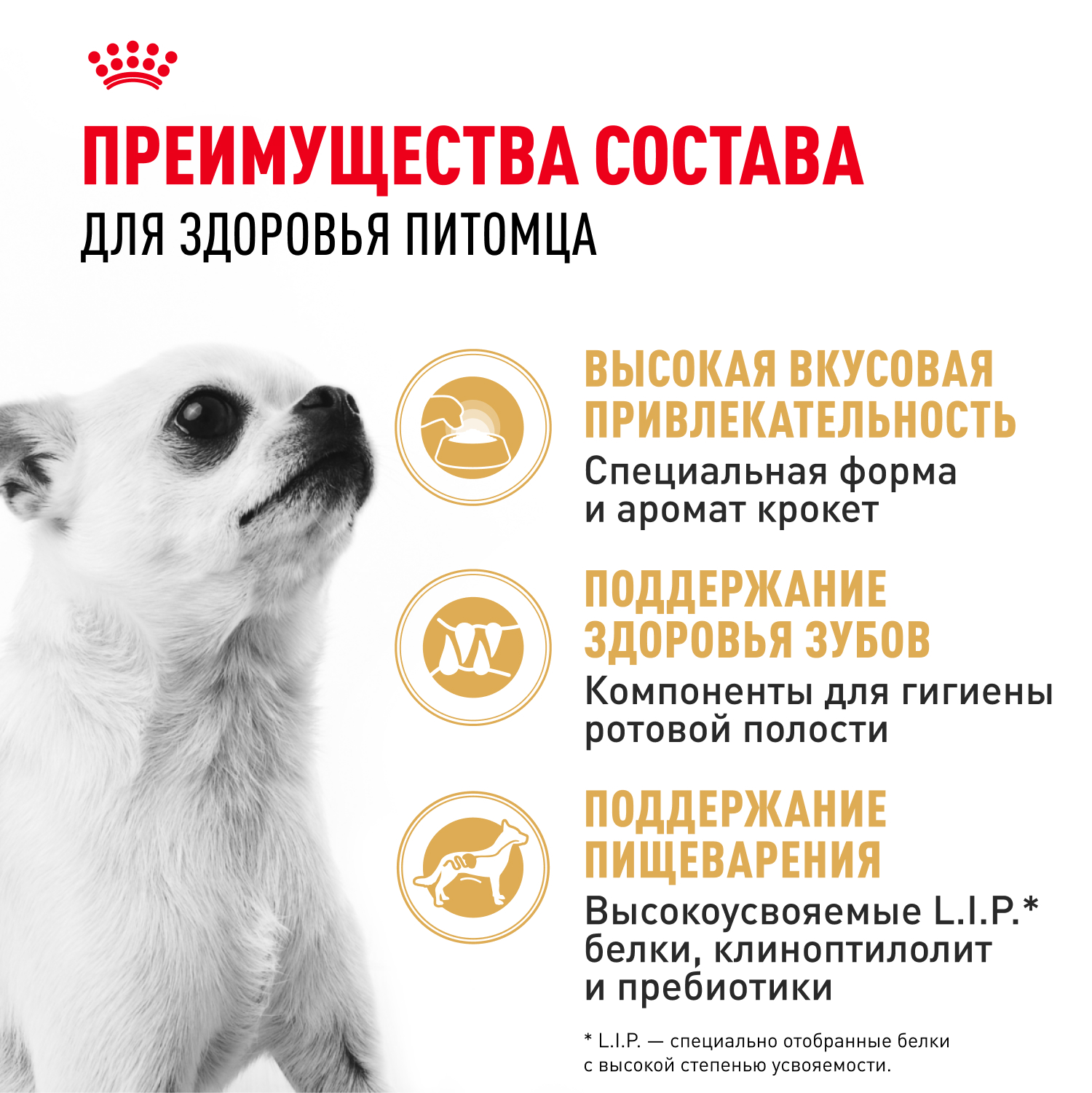 

Сухой корм Royal Canin Chihuahua Adult для собак чихуахуа с 8 месяцев 500 г