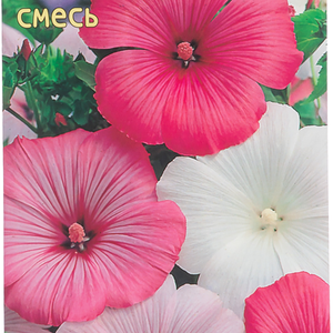 Семена Лаватера Великолепная