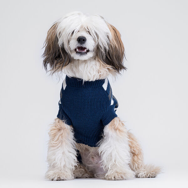 Petmax свитер синий в полоску L