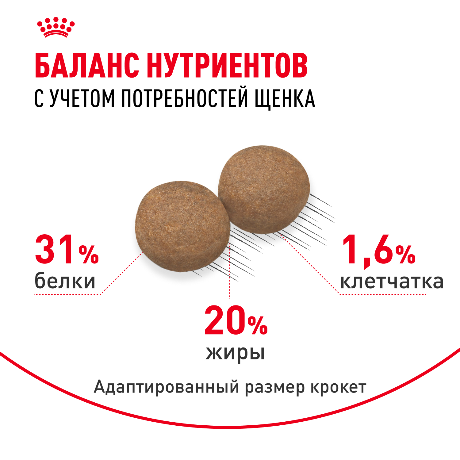 

Корм сухой Royal Canin Mini Puppy для щенков мелких пород в возрасте до 10 месяцев 0.8 кг