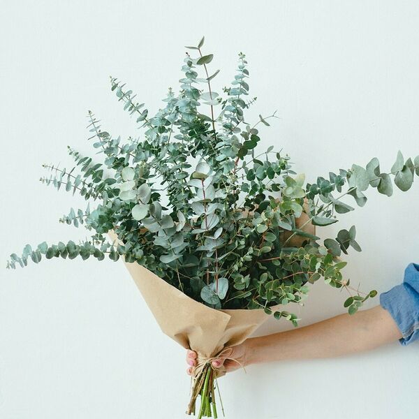 Букет с эвкалиптом
