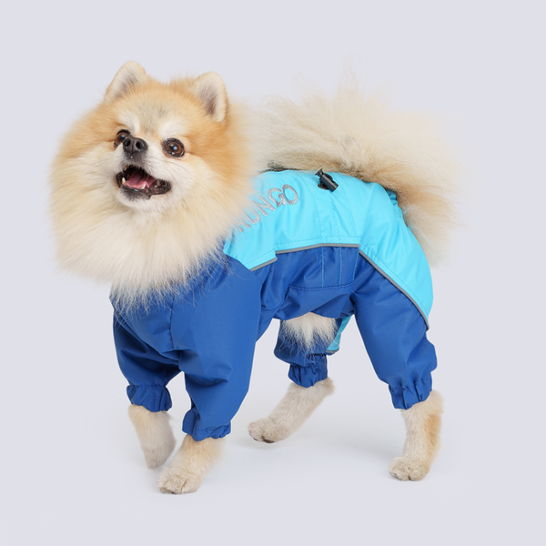 Rungo Дождевик Шпиц мальчик голубой неон