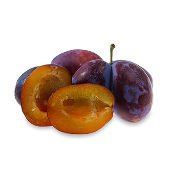 Слива Венгерка