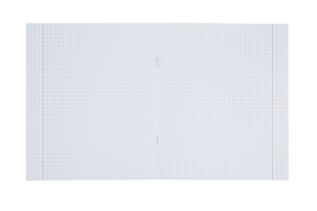 

Тетрадь школьная №1 School ColorPics А5 12 листов в клетку (10 штук в упаковке)