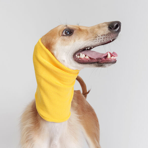 Снуд для животных желтый M