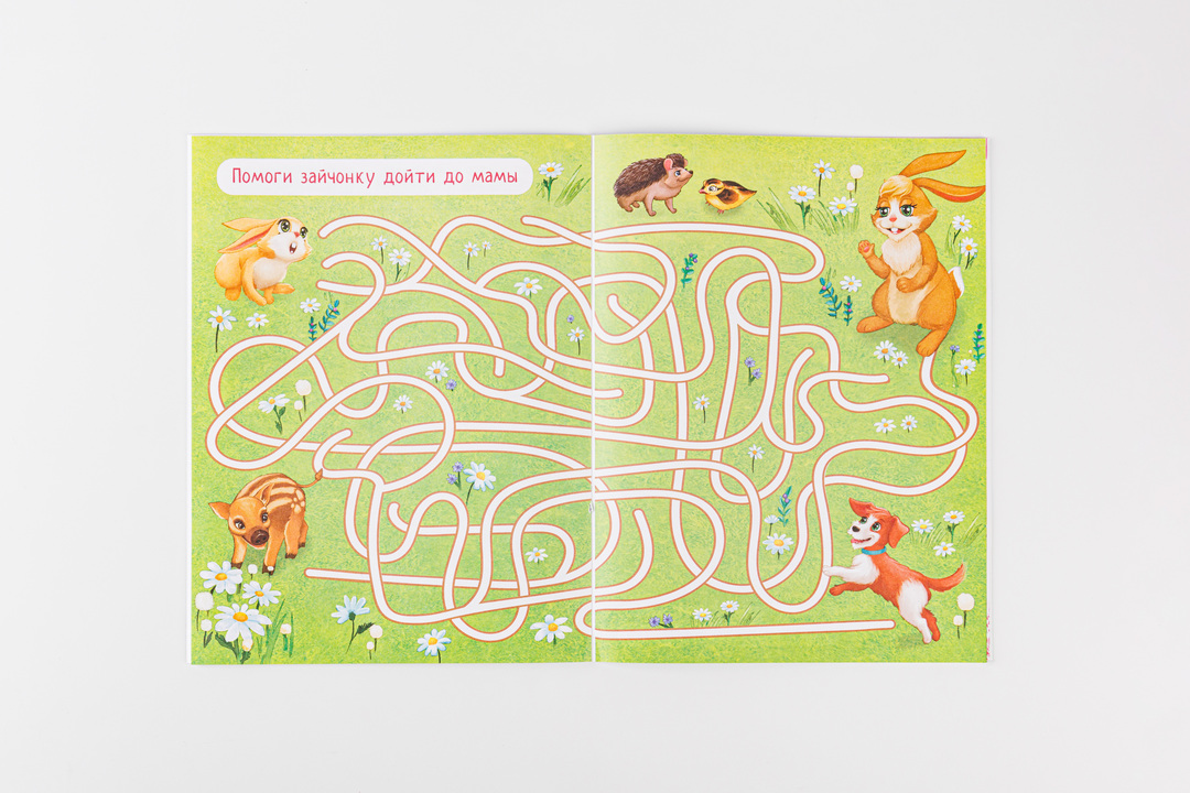 

Книжка Ирина Цхай Как зайчонок маму искал