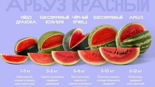 Арбуз Черный принц, вес