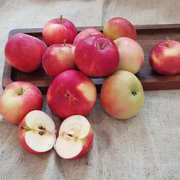Яблоки сезонные