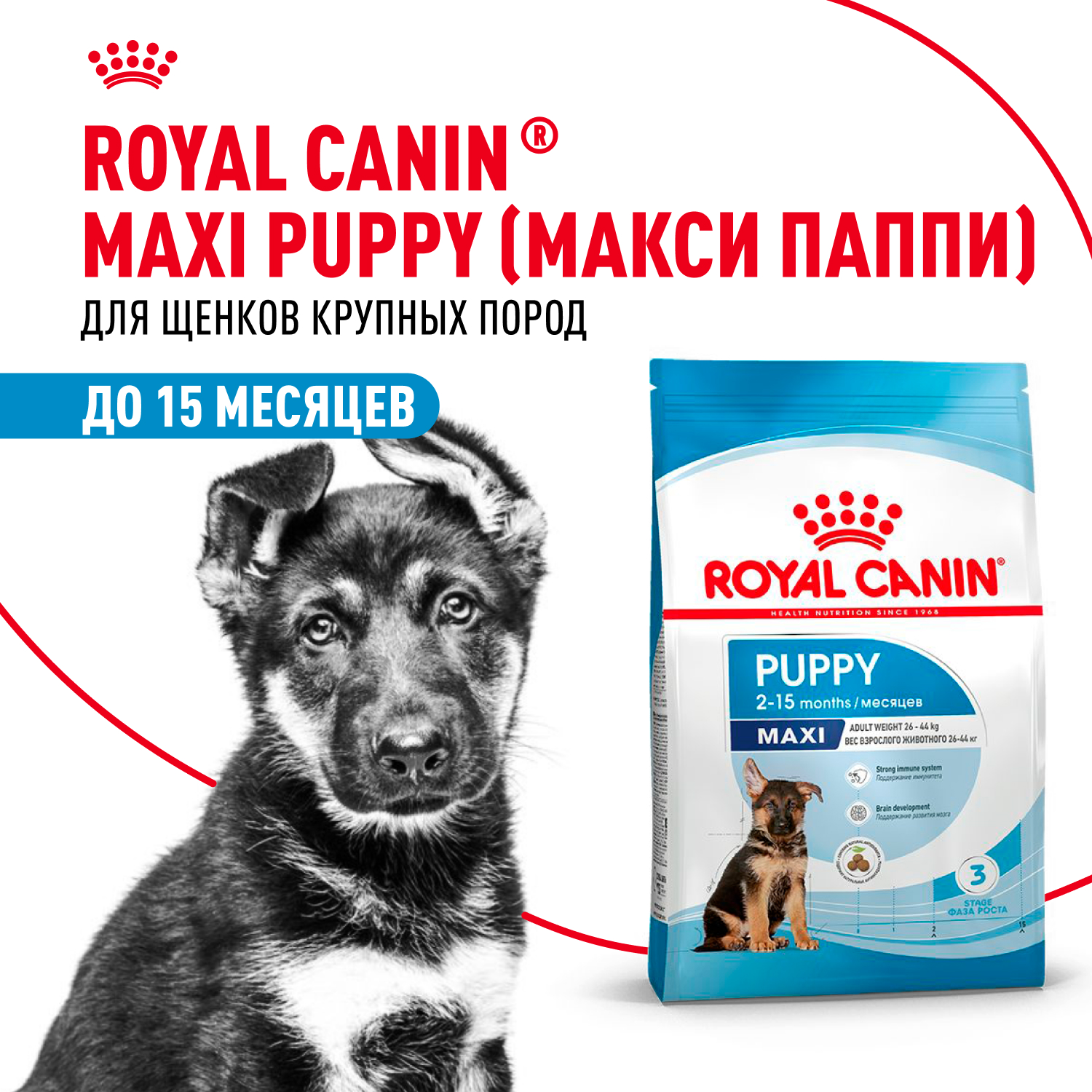 

Корм сухой для щенков крупных пород в возрасте до 15 месяцев Royal Canin Maxi Puppy 4 кг