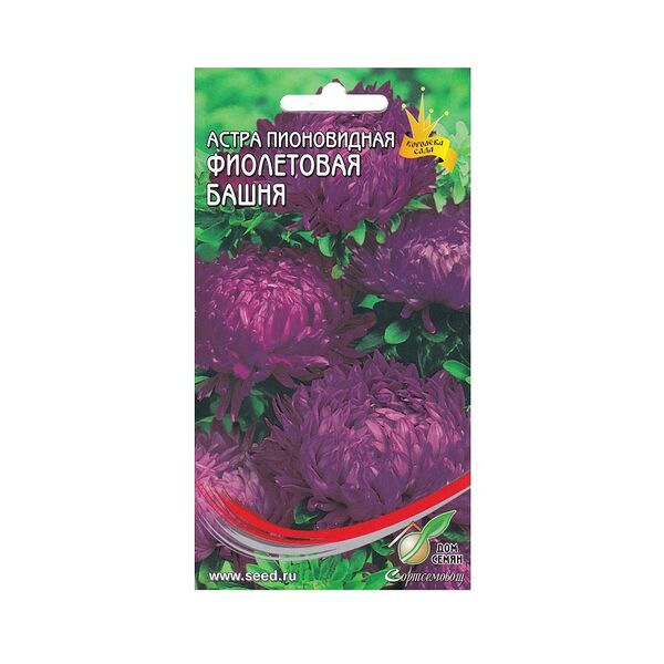 Семена Астра пионовидная Фиолетовая Башня