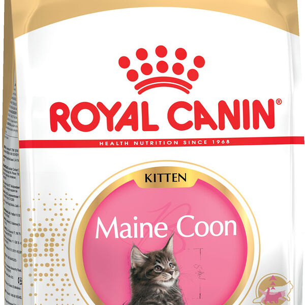 Корм для кошек Royal Canin Maine Coon Kitten