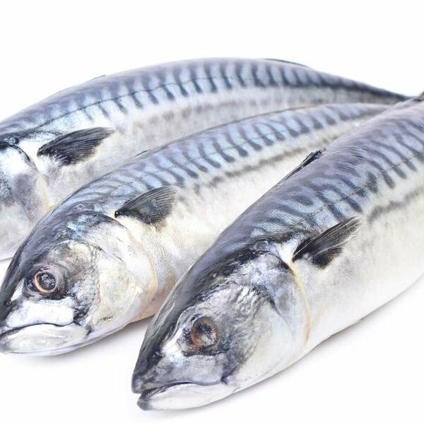 Скумбрия неразделанная слабомороженная вес