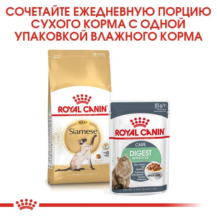 

Корм для кошек Royal Canin Siamese Adult сухой сбалансированный для взрослых сиамских кошек от 12 месяцев 0.4 кг