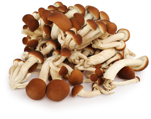 

Опята свежие 200 г