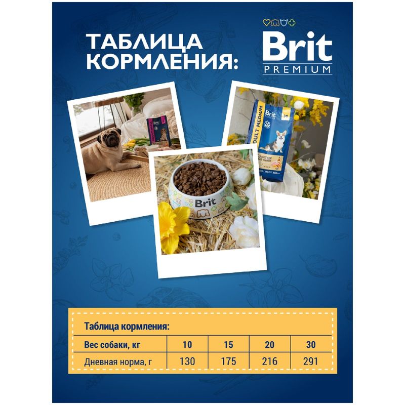 

Сухой корм Brit для взрослых собак средних пород с курицей 3 кг