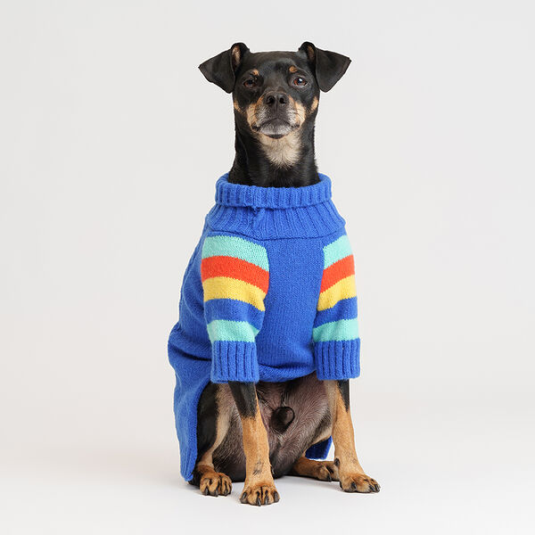 Petmax Свитер синий L