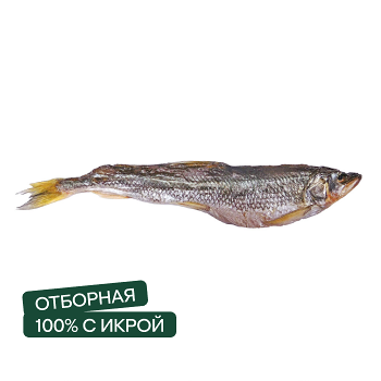Корюшка зубатка вяленая Русский рыбный мир, Россия