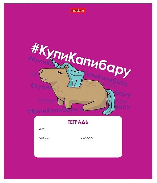 Тетрадь А5 в клетку Hatber КупиКапибару, дизайн в ассортименте, 12 листов