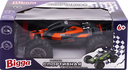 Игрушка BIGGA Спортивная машинка 24см, на радиоуправлении ассортимент