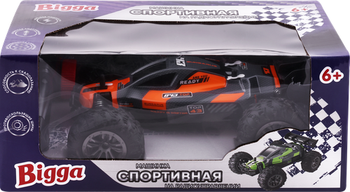 

Игрушка BIGGA Спортивная машинка 24см, на радиоуправлении ассортимент