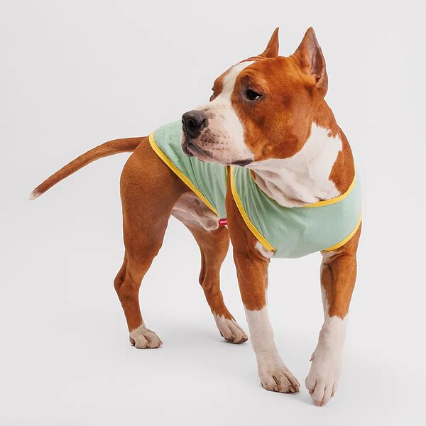 Борцовка Petmax для собак, 3XL, зеленая