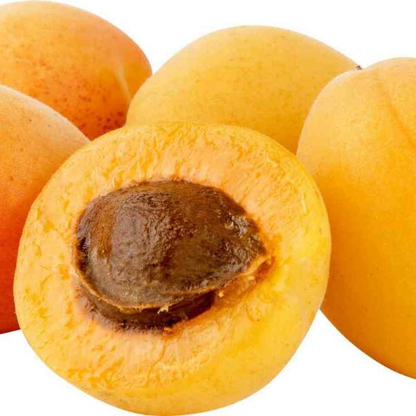 Абрикосы сезонные