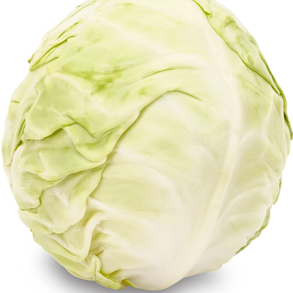 Капуста  белокочанная новый урожай вес до 2.5 кг