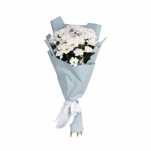 5 кустовых белых ромашковых хризантем