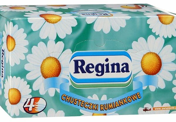 Салфетки бумажные Regina Ромашка ароматизированные 21х21 см, 4 слоя, 110 шт.