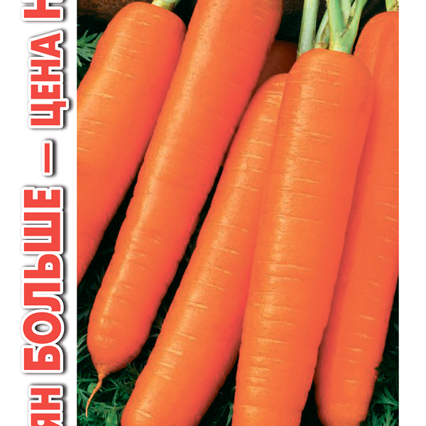 Семена УДАЧНЫЕ СЕМЕНА Морковь Нантская 4, 4г
