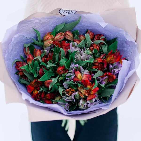 Букет из 25 альстромерий в красных и фиолетовых тонах в розовой пленке