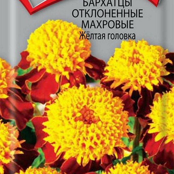 Семена Бархатцы отклоненные Желтая головка махровые ТМ Поиск