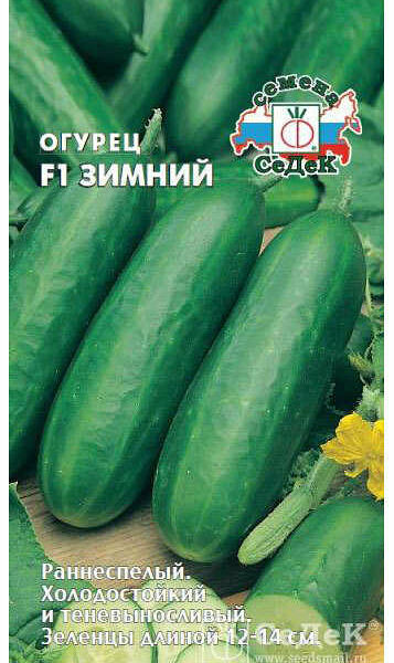Семена Огурец Зимний F1 ТМ СеДеК