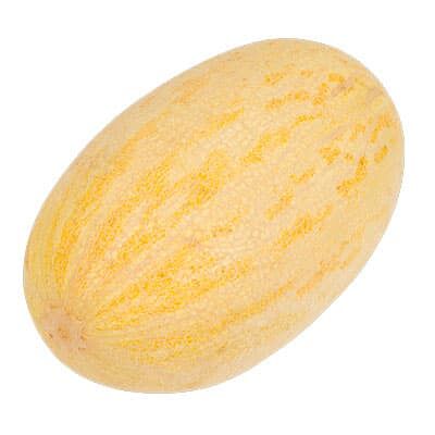 Дыня Торпеда