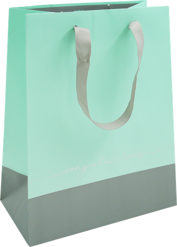 

Пакет подарочный MESHU Duotone Gray-mint, отделка фольгой, матовая ламинация, 18х23х10 см